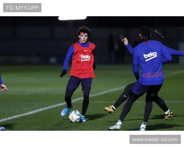 格里兹曼回撤组织中的串联作用解析