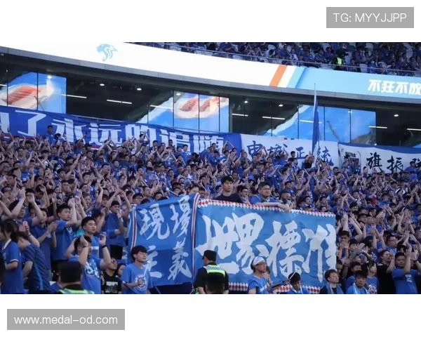 申花主场两轮不胜球迷喊话调整阵容